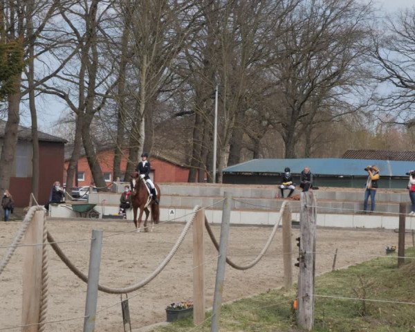 Reitturnier Handorf 2021