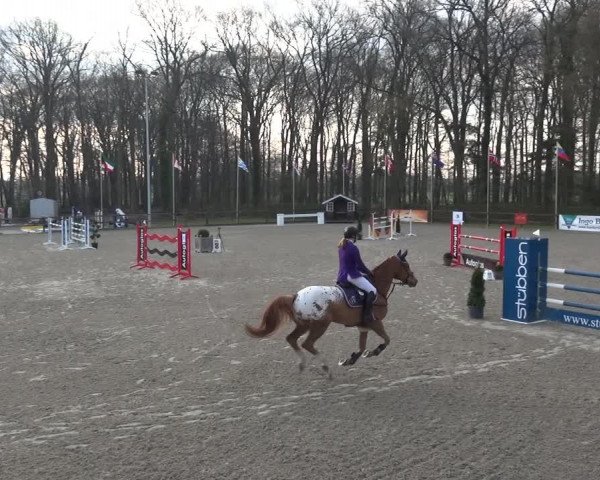 Reitturnier Klein Roscharden 2021