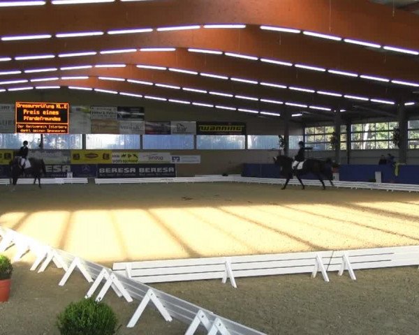 dressage horse Lamira 25 (Hanoverian, 1999, from Lauries Crusador xx)