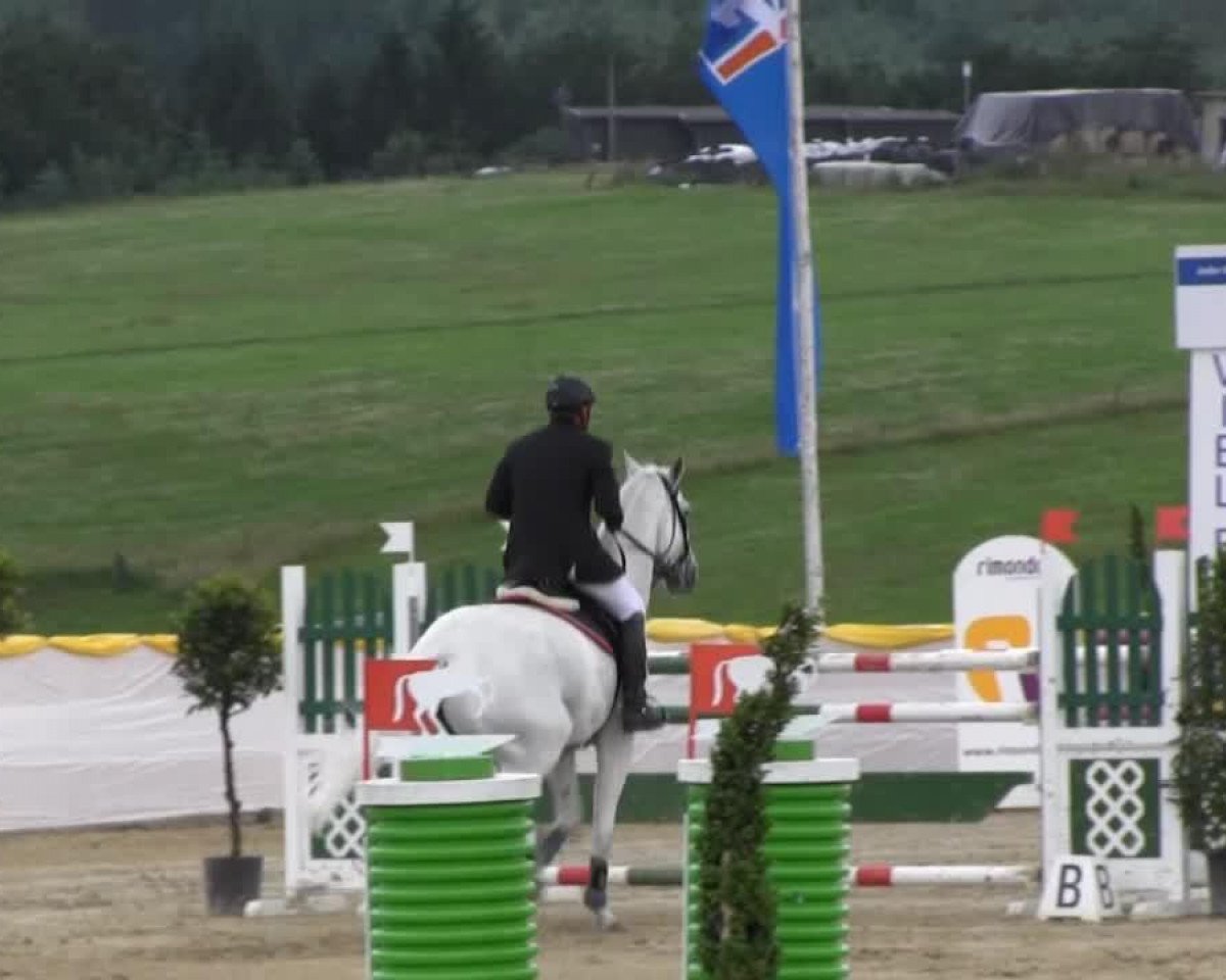 Springpferd Carlson 36 (Holsteiner, 2000, von Contender)