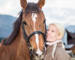 Dressurpferd Danina In Action (Österreichisches Warmblut, 2007, von Rubin Action OLD)