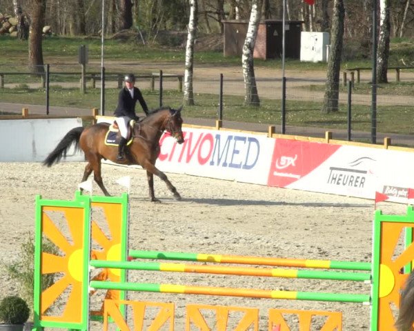 FEI Reitturnier Westergellersen (GER) 2021