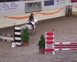 jumper Vasco da Gama (German Riding Pony, 2005, from Veivel R)