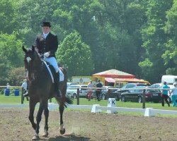 dressage horse Dubidu 11 (Hanoverian, 2004, from Del Piero)