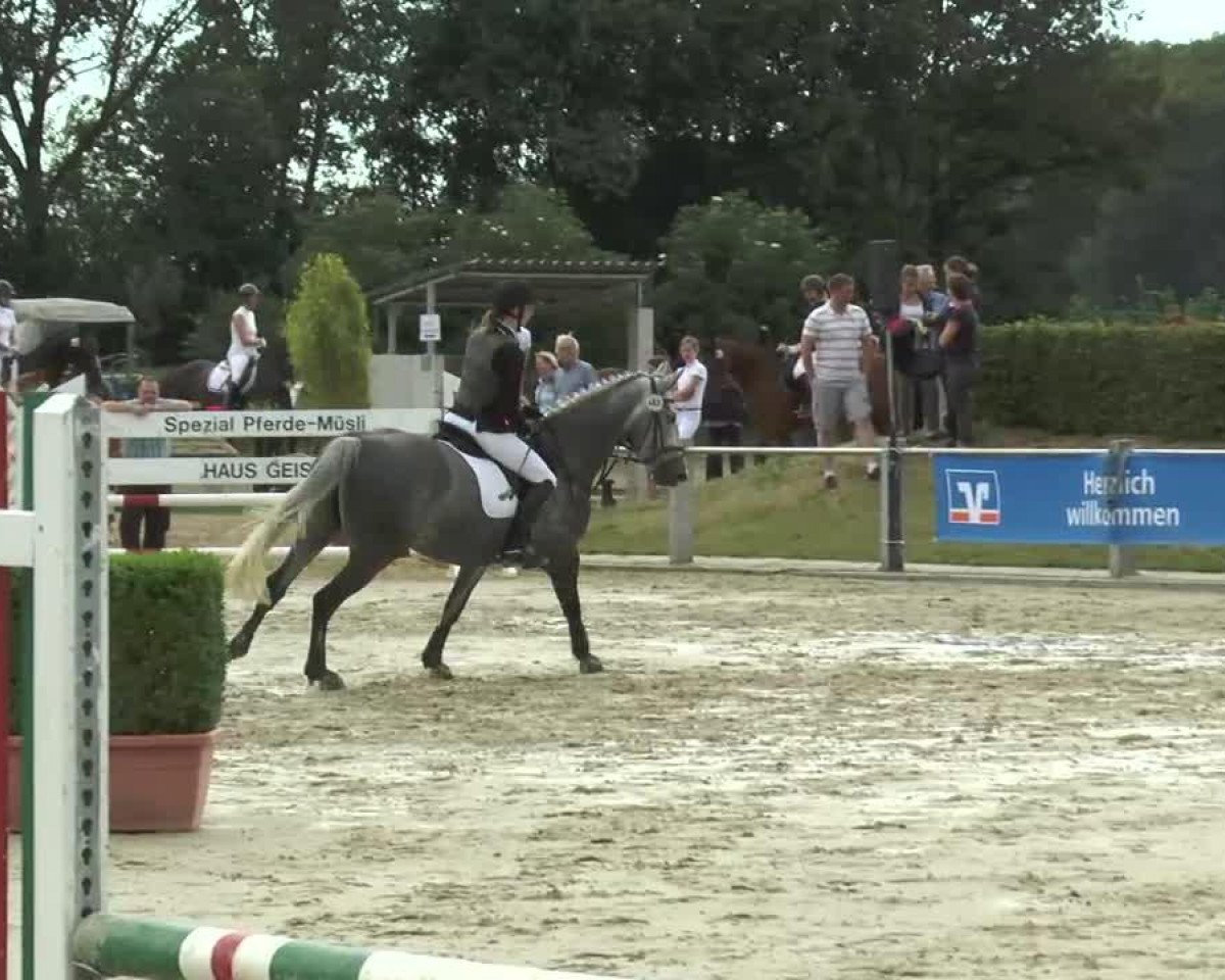 jumper Kaira 12 (unknown, 2006)