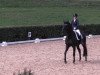 dressage horse Back in Black O (Westphalian, 2008, from Painted Black)