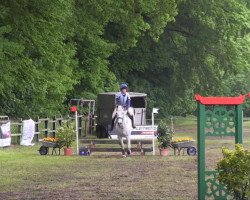 jumper Esquinzo 2 (Hanoverian, 1996, from Escudo I)