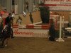 jumper Mathieu 2 (German Riding Pony, 2003, from Marck B.S.)