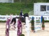 jumper Centoreno (Oldenburg show jumper, 2002, from Cento)