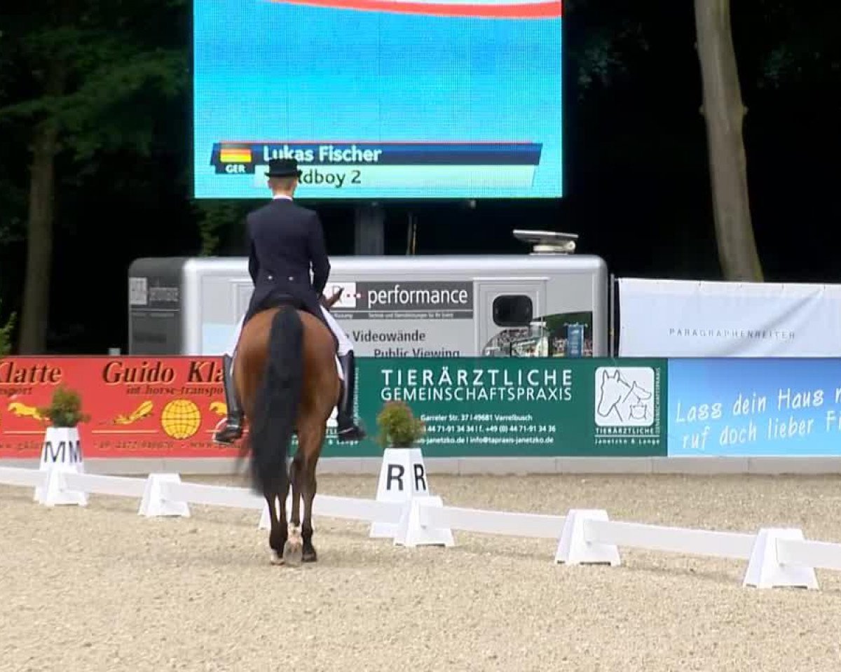 dressage horse Wildboy 2 (Hanoverian, 2003, from Weltmeyer)