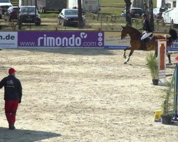 FEI Reitturnier Westergellersen (GER) 2021