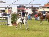 jumper Calito 26 (Hanoverian, 2005, from Calido I)