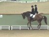 dressage horse La Coruna 28 (Hanoverian, 2007, from Lord Loxley I)