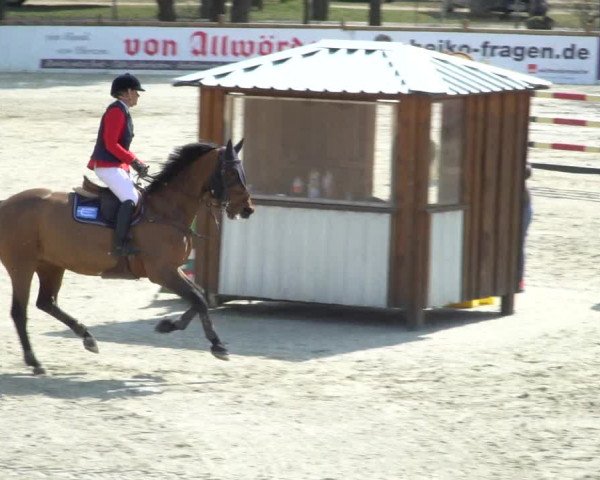 FEI Reitturnier Westergellersen (GER) 2021