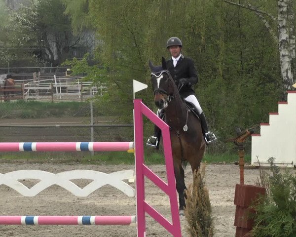 Reitturnier Lampertheim 2021