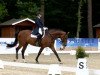 dressage horse Fabelhafte 3 (Oldenburg, 2006, from Florencio I)