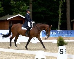 dressage horse Fabelhafte 3 (Oldenburg, 2006, from Florencio I)