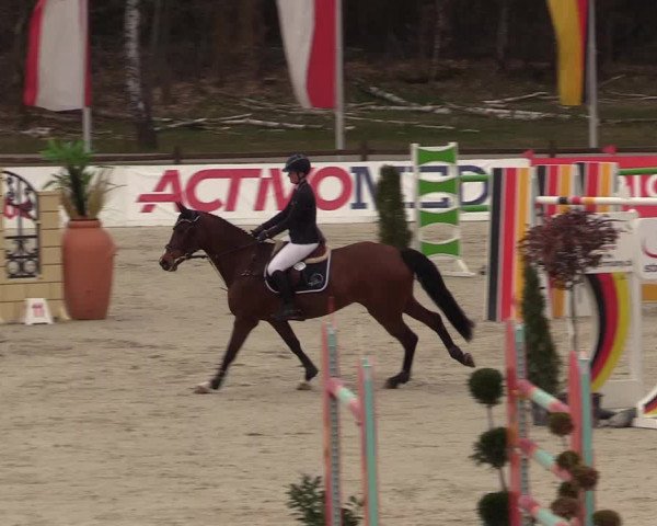 FEI Reitturnier Westergellersen (GER) 2021