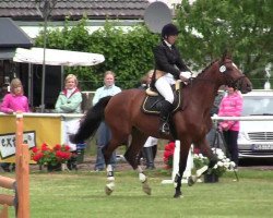 dressage horse Ashanty 32 (KWPN (Royal Dutch Sporthorse), 2005, from Trento B)