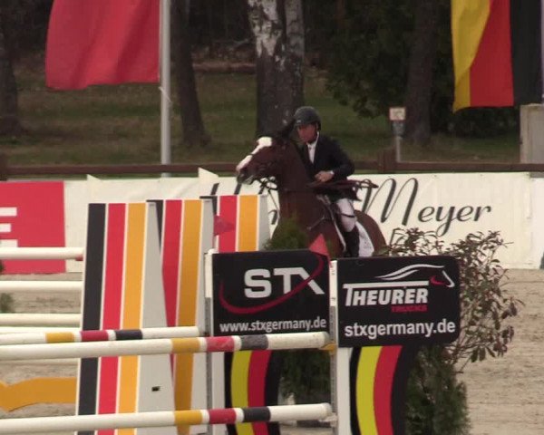 FEI Reitturnier Westergellersen (GER) 2021