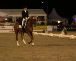 dressage horse Lord Limerick 4 (Oldenburg, 1998, from Landor S)