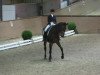 dressage horse Perrygor 2 (Westphalian, 1996, from Potsdam)