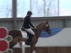 dressage horse Payzen (Westphalian, 2005, from Peking)