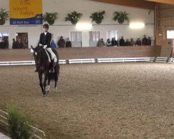 dressage horse Saint Maurice 3 (Hanoverian, 2008, from St. Moritz)