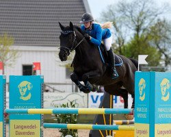 jumper El Diabolus D (Hanoverian, 2010, from Escudo I)