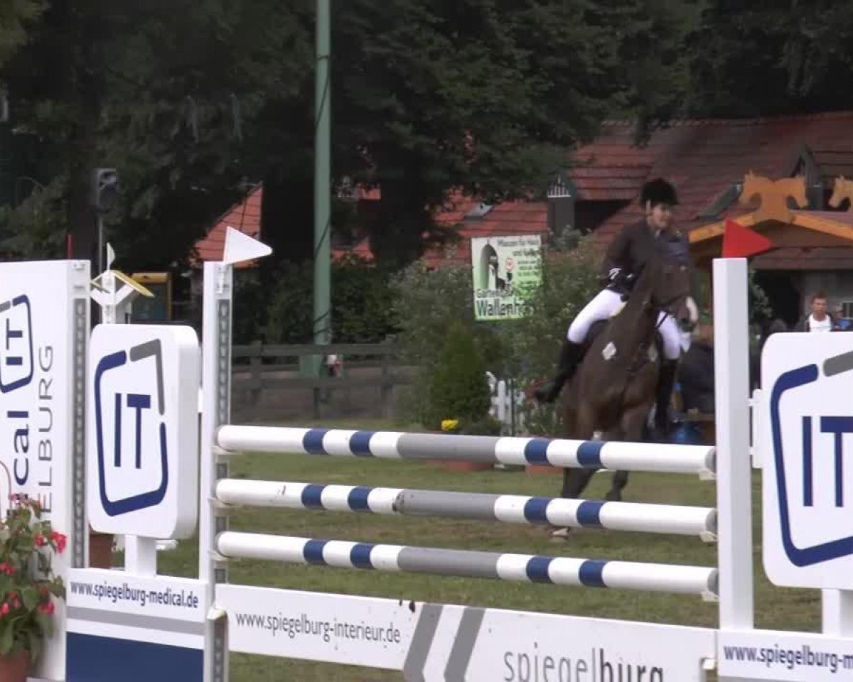 jumper Lesatho (Holsteiner, 2004, from Leonce)