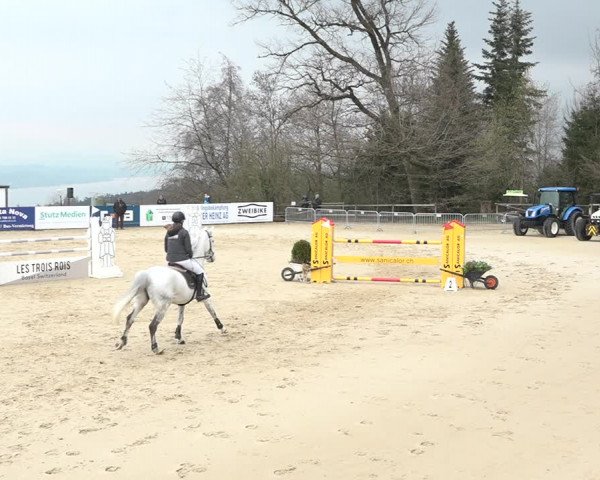 Reitturnier Wädenswil 2021