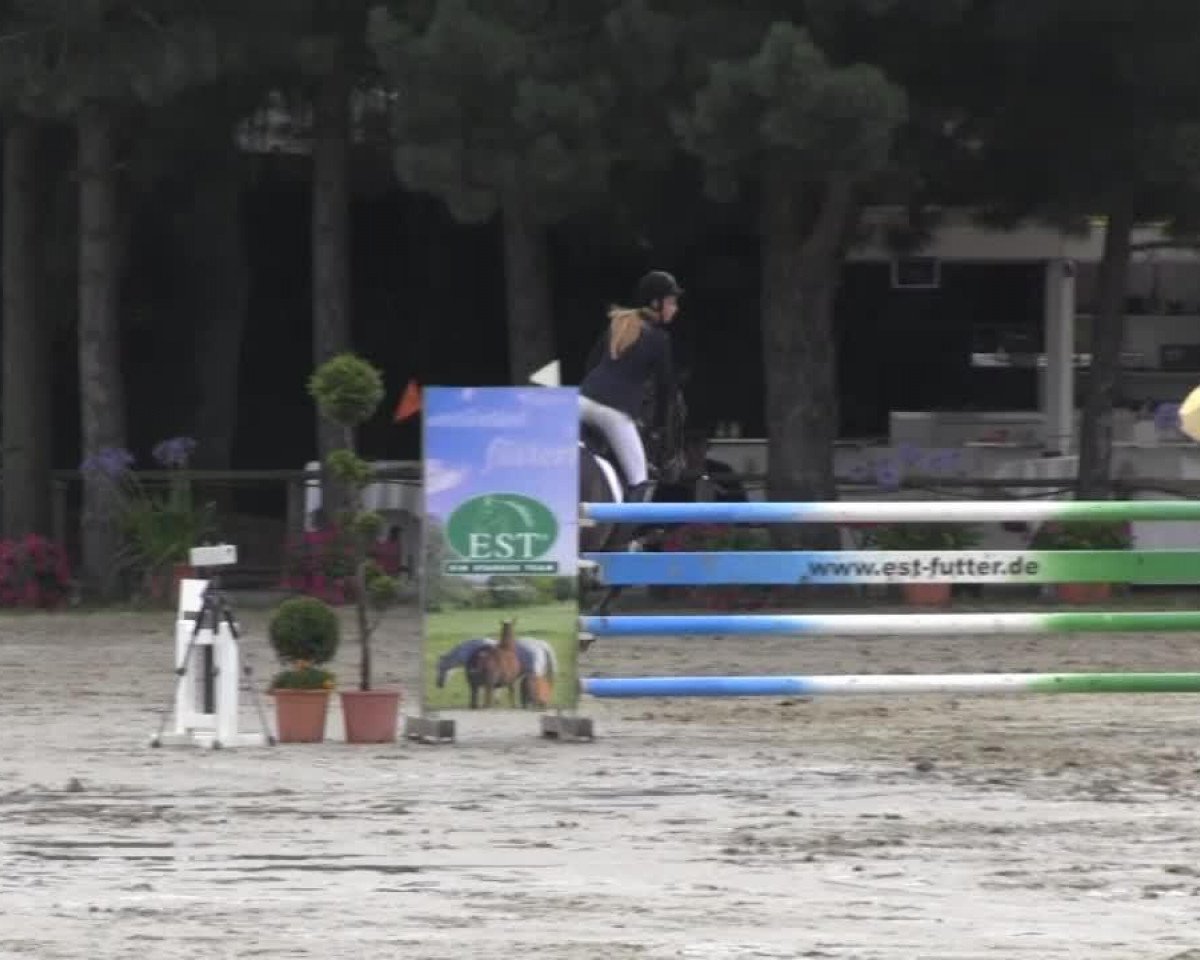 dressage horse Ricarda B 2 (Rhinelander, 2005, from Riccio)