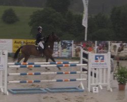 jumper Lady Ann (Oldenburg show jumper, 2002, from Laureatus)