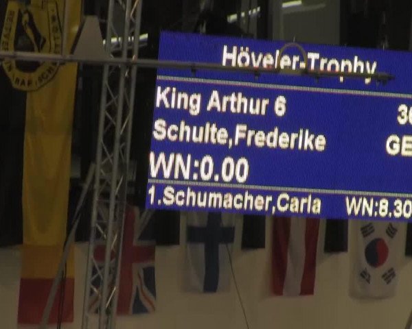 Springpferd King Arthur 6 (Deutsches Reitpony, 2001, von Kaiserstolz)