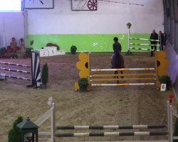 jumper Dagobert Duck 6 (German Riding Pony, 2001, from Doolittle)