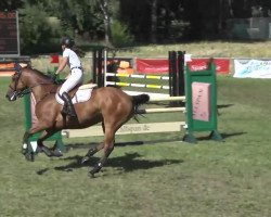 jumper Zoe (Holsteiner,  )