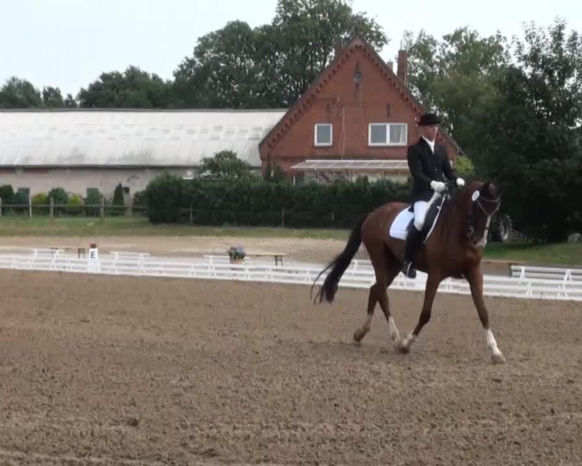 Dressurpferd Ludewig 4 (Hannoveraner, 2004, von Longchamp)