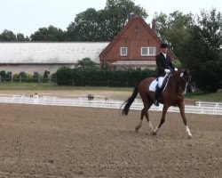 dressage horse Ludewig 4 (Hanoverian, 2004, from Longchamp)