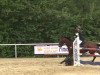 jumper Mozart (Luxembourg horse, 2000)