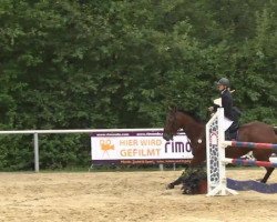 jumper Mozart (Luxembourg horse, 2000)