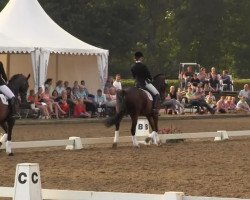 dressage horse Rudi 295 (Hanoverian, 2006, from Rascalino)