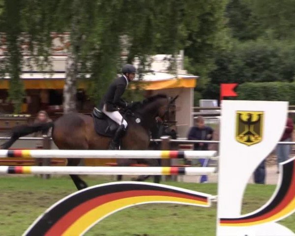 jumper Logique xx (Thoroughbred, 1999, from Revoque xx)