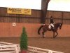 jumper Lady Lordanos (German Sport Horse, 2007, from Lordanos)