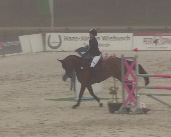 Reitturnier Westergellersen 2021