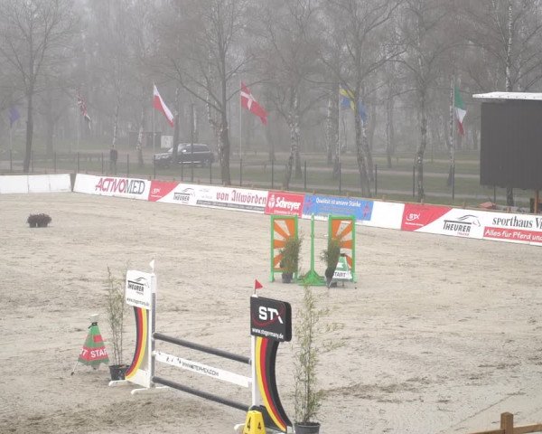 Reitturnier Westergellersen 2021