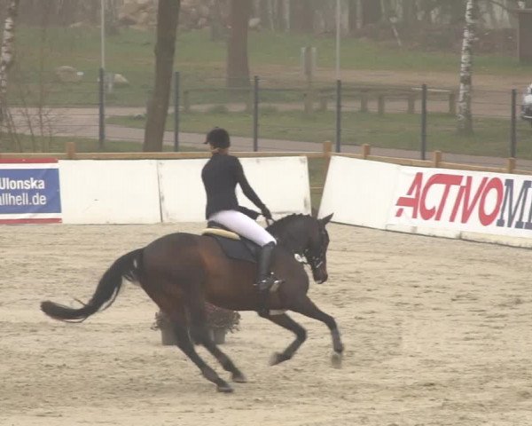 Reitturnier Westergellersen 2021