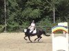 jumper Mon-Cherie 4 (German Riding Pony, 2003, from Campari)