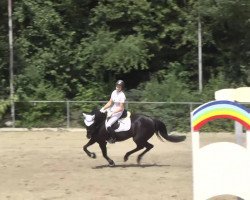 jumper Mon-Cherie 4 (German Riding Pony, 2003, from Campari)