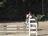 jumper Lady 2000 (German Riding Pony, 2005, from Unbekannt PONY)