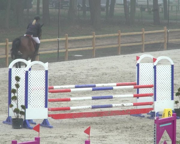 Reitturnier Westergellersen 2021